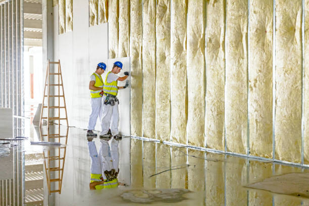 Best Insulation Installation Services in Hiram, GA